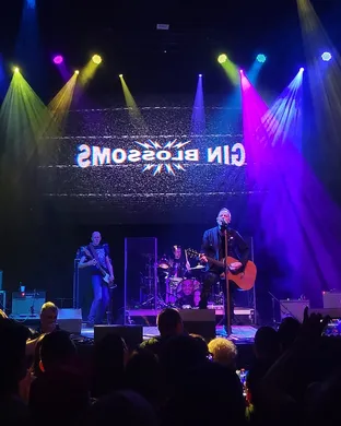 Gin Blossoms & Vertical Horizon